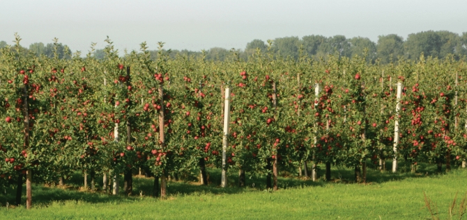 NEM reshaping Australian agriculture with science that listens